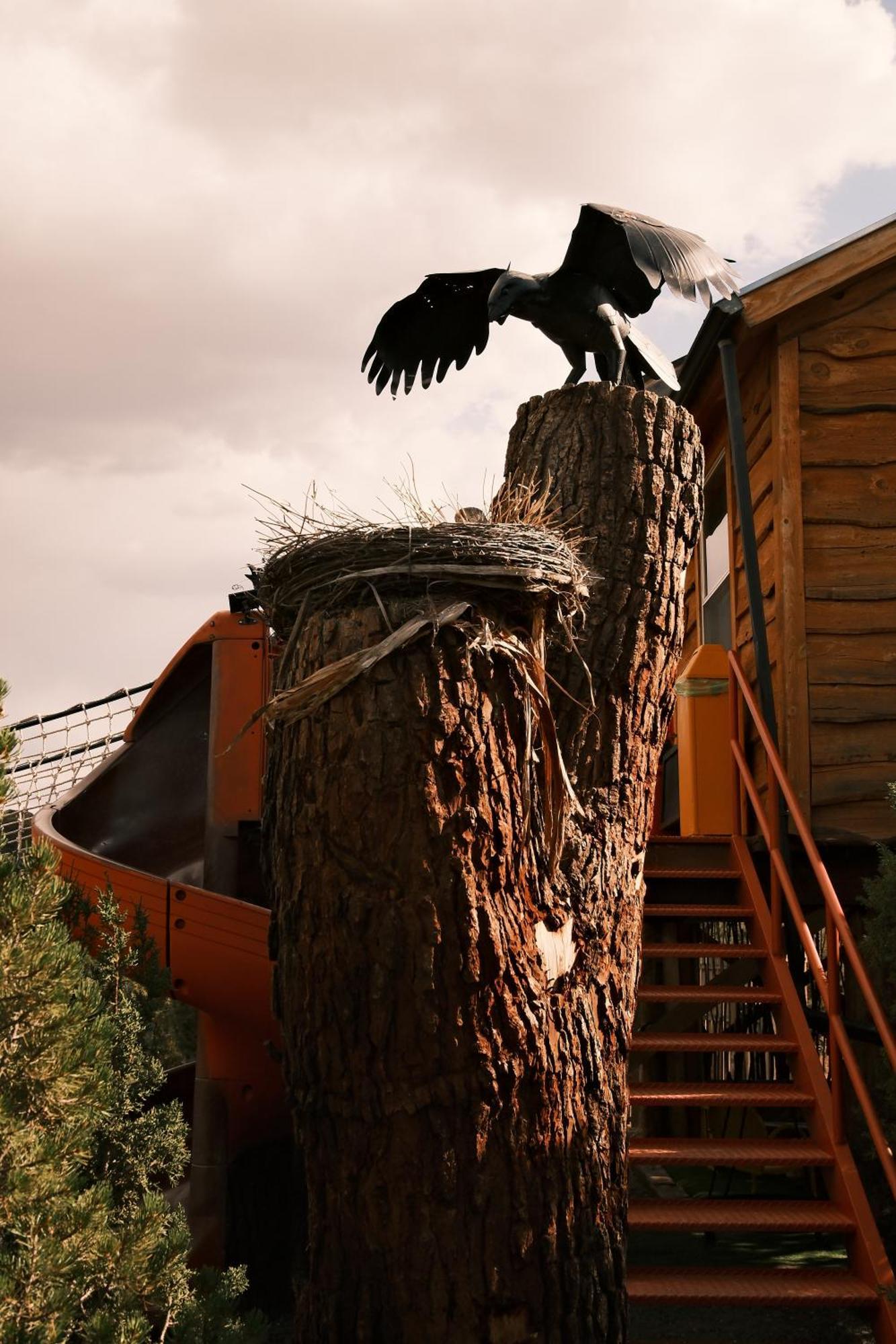 Crows Nest Treehouse At El Mstico Ranch Villa Nogal ภายนอก รูปภาพ