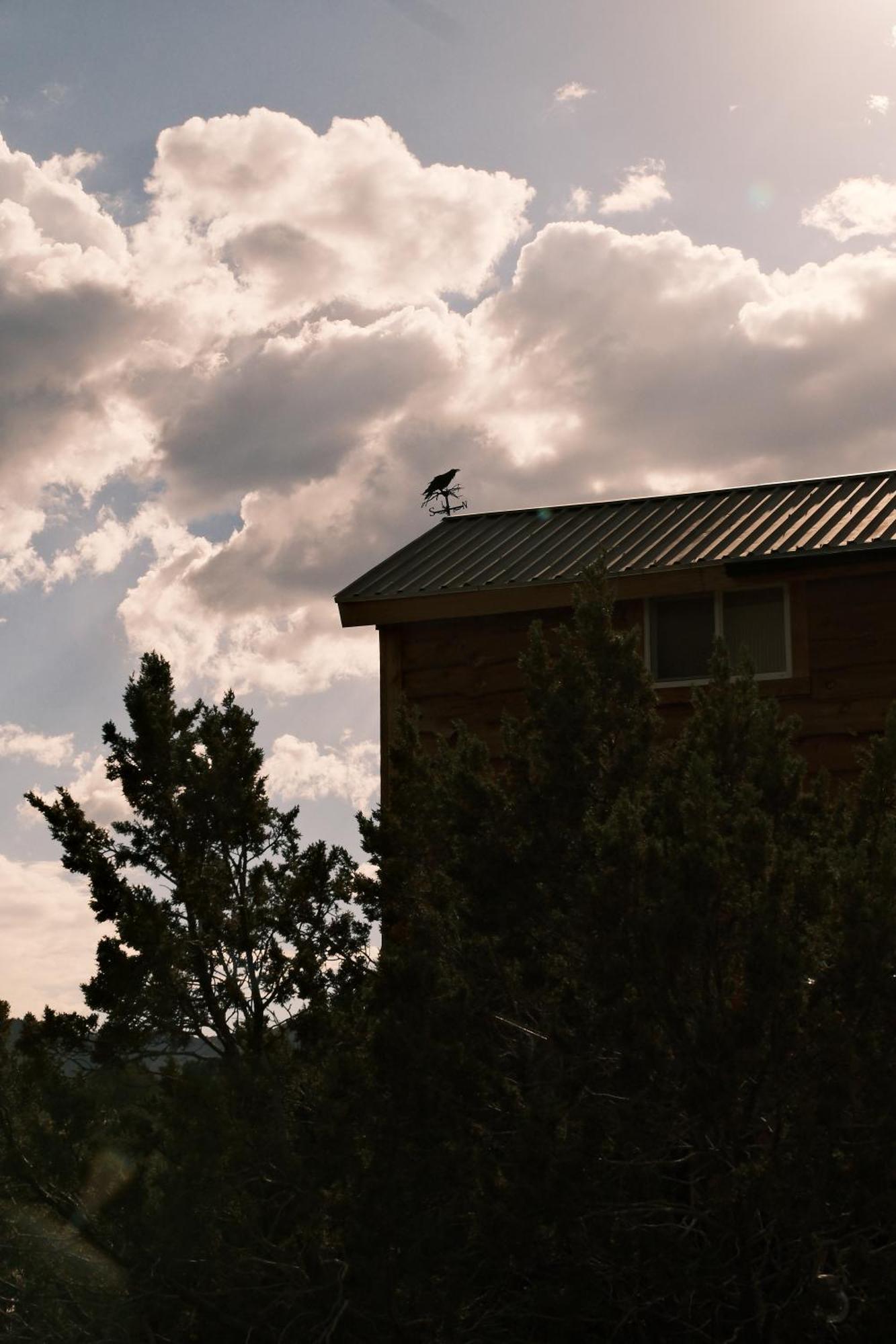 Crows Nest Treehouse At El Mstico Ranch Villa Nogal ภายนอก รูปภาพ