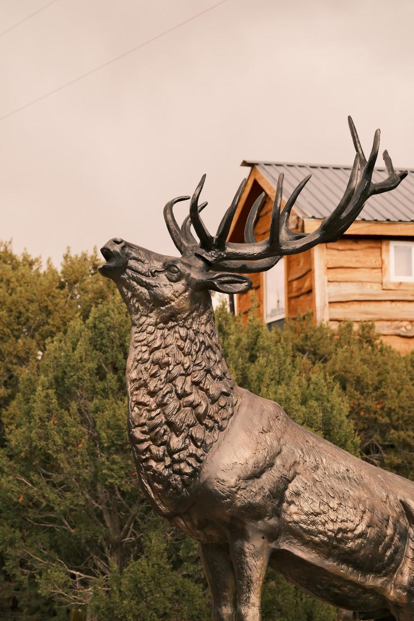 Crows Nest Treehouse At El Mstico Ranch Villa Nogal ภายนอก รูปภาพ